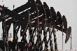 Tổ chức OPEC đang phải chịu sức ép từ các nước phương Tây
